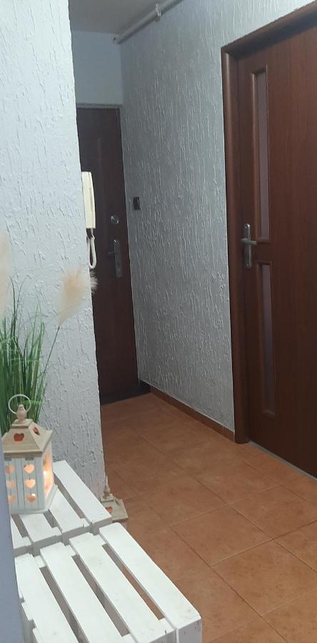 피와 Flowers Apartament 아파트 외부 사진